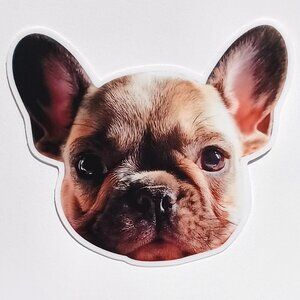 3"x3" Lot of Four Stickers French Bulldog Puppy Dog Beige Frenchie